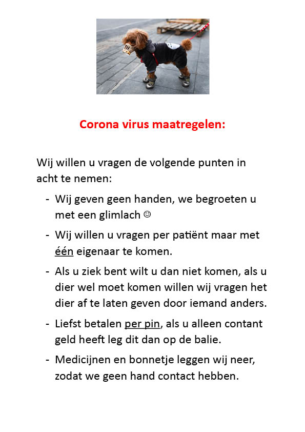 corona