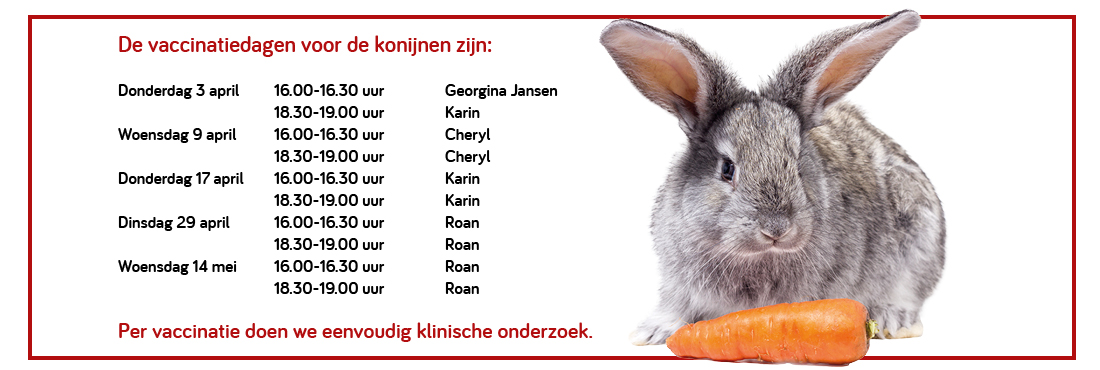 konijnenenten 2025
